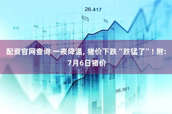 配资官网查询 一夜降温, 猪价下跌“跌猛了”! 附: 7月6日猪价