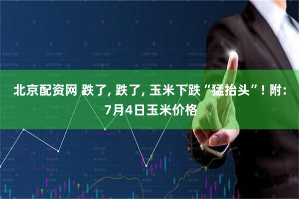 北京配资网 跌了, 跌了, 玉米下跌“猛抬头”! 附: 7月4日玉米价格