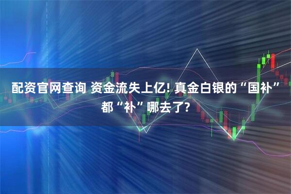 配资官网查询 资金流失上亿! 真金白银的“国补”都“补”哪去了?